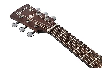 Amazon.com: Ibanez AW54 Artwood Traditional Dreadnought